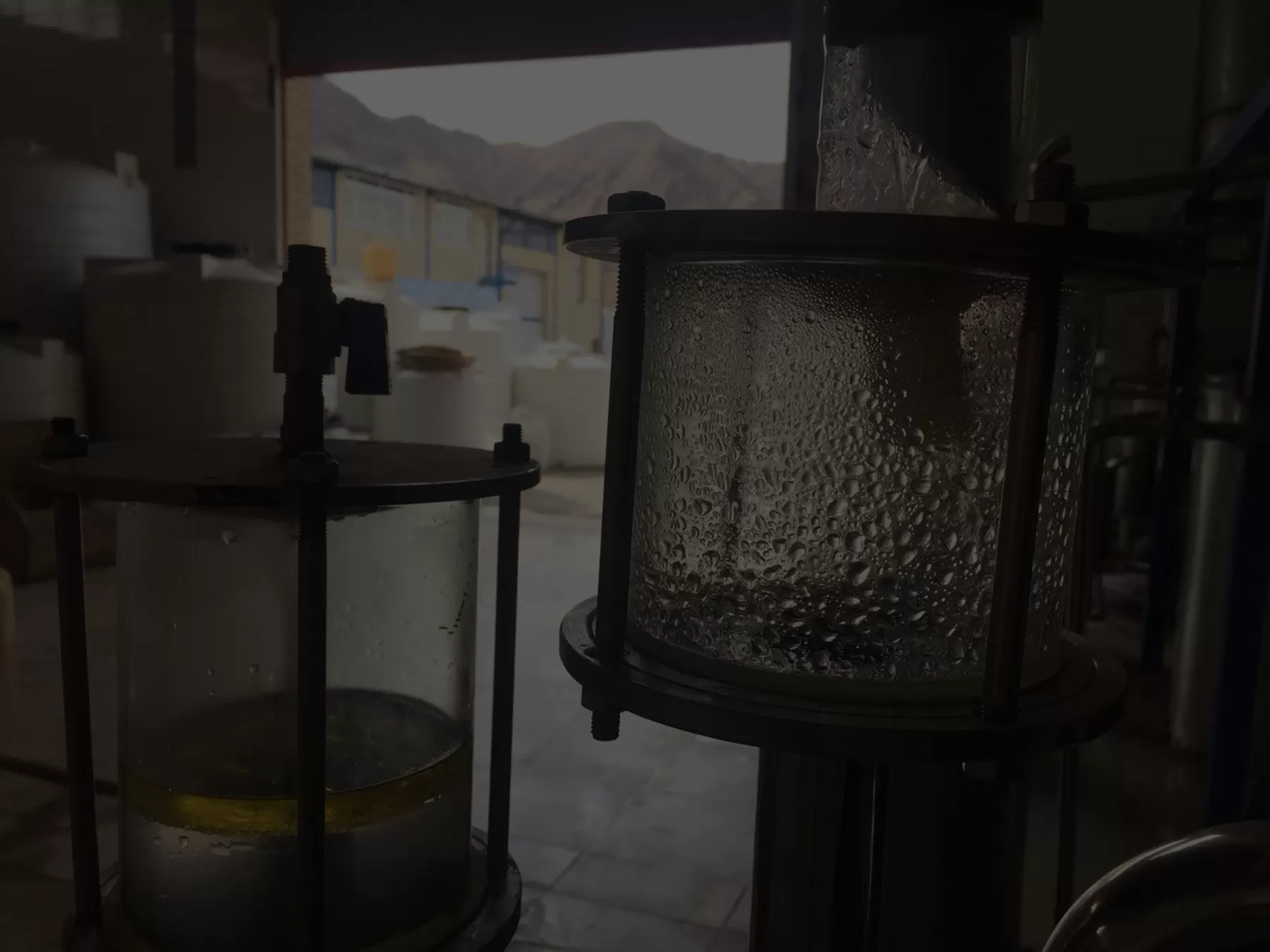 Steam distillation of Iran galbanum producing green essential oil (Galbanum HE) for perfumery Steam distillation of Iran galbanum producing green essential oil (Galbanum HE) for perfumery